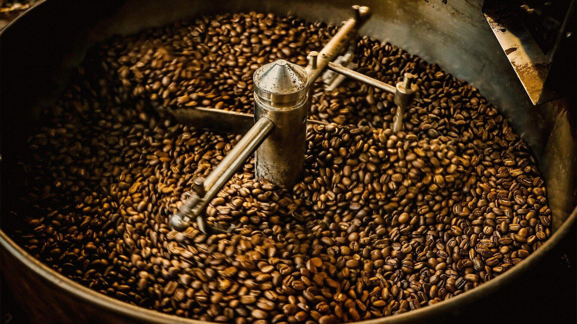 Experience Background